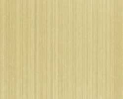 PVD Eden Color Edelstahl PVD goldfarben mit feinem HAIRLINE SATIN
